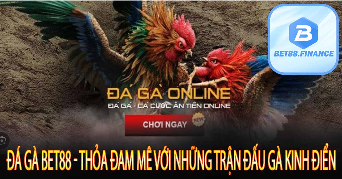 ĐÁ GÀ BET88 - THỎA ĐAM MÊ VỚI NHỮNG TRẬN ĐẤU GÀ KINH ĐIỂN