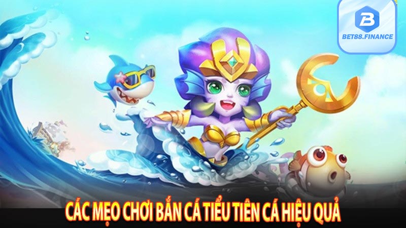 Các mẹo chơi bắn cá tiểu tiên cá hiệu quả