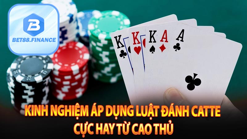 Kinh nghiệm áp dụng luật đánh Catte cực hay từ cao thủ